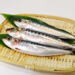 「青魚＝サバ」ではない！実はイワシの方がすごかった！？知られざる栄養の真実。