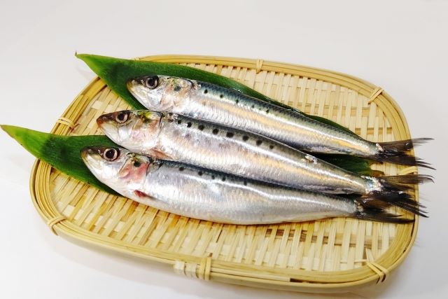 「青魚＝サバ」ではない！実はイワシの方がすごかった！？知られざる栄養の真実。