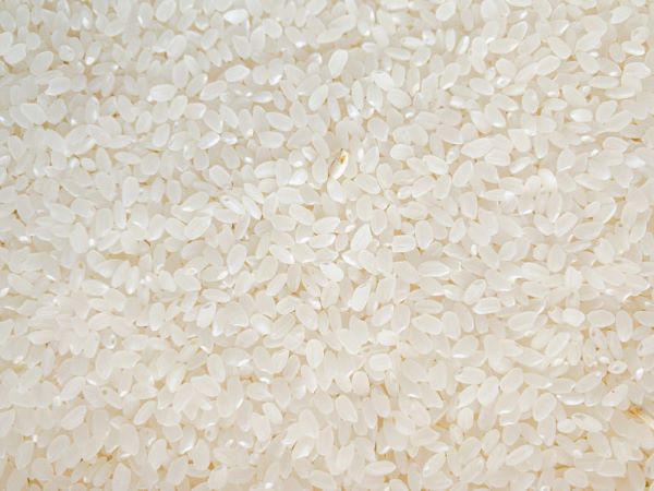 日本各地の農産地ごとに異なるお米のおいしさを比較するイメージ